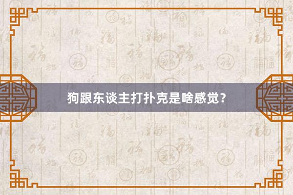 狗跟东谈主打扑克是啥感觉？
