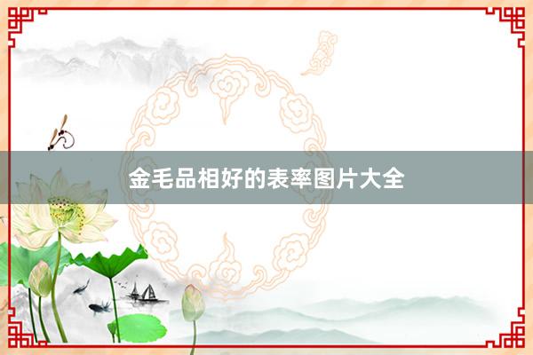 金毛品相好的表率图片大全