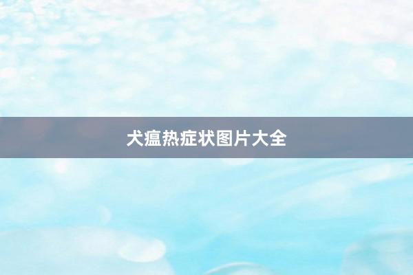 犬瘟热症状图片大全