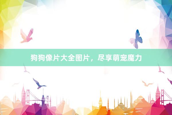 狗狗像片大全图片，尽享萌宠魔力